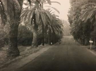 Peralta Hills Drive in the 1960s